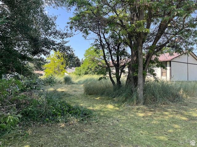247 W 200 S, Santaquin, UT 84655 - view of yard