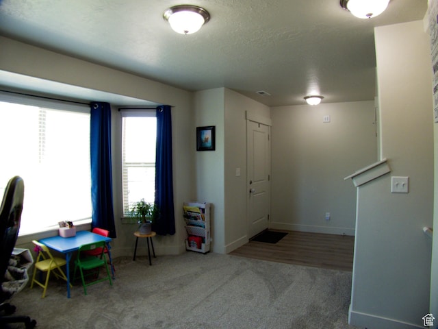375 W Park Vw S, Spanish Fork, UT 84660 - carpeted foyer with baseboards