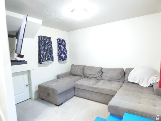375 W Park Vw S, Spanish Fork, UT 84660 - carpeted living room featuring a textured ceiling