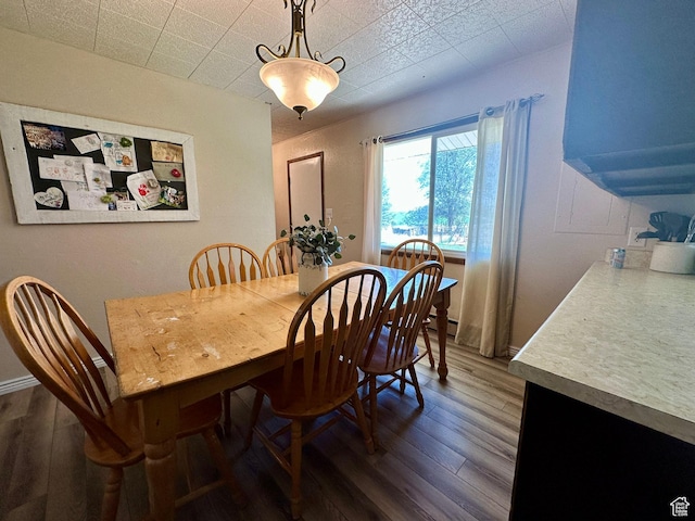 8744 E 6500 S, Jensen, UT 84035 - dining room with dark wood finished floors and a baseboard radiator