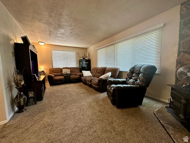 8744 E 6500 S, Jensen, UT 84035 - living room featuring a wood stove, carpet floors, and a textured ceiling