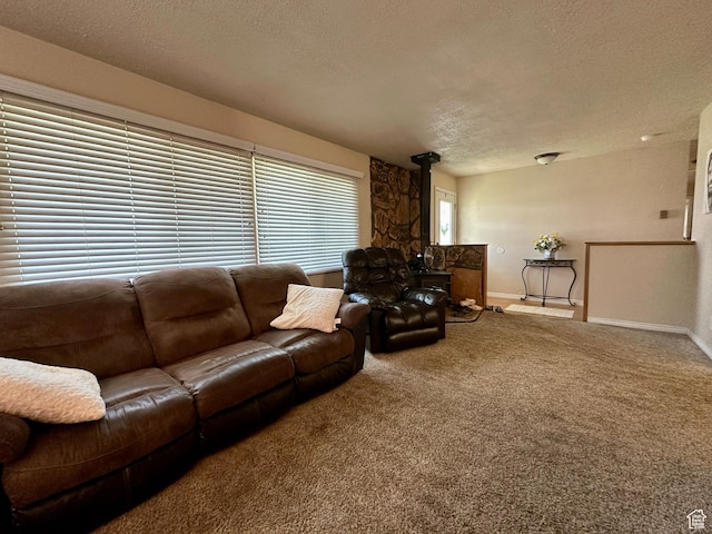 8744 E 6500 S, Jensen, UT 84035 - carpeted living room with a textured ceiling and a wood stove