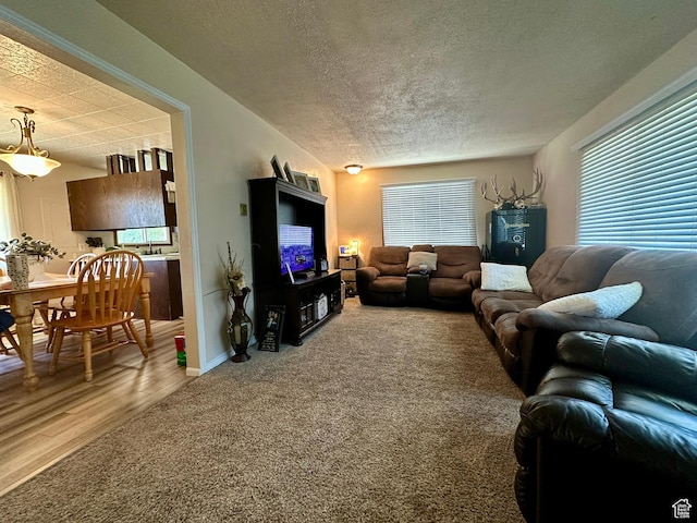 8744 E 6500 S, Jensen, UT 84035 - carpeted living area featuring a textured ceiling and wood finished floors