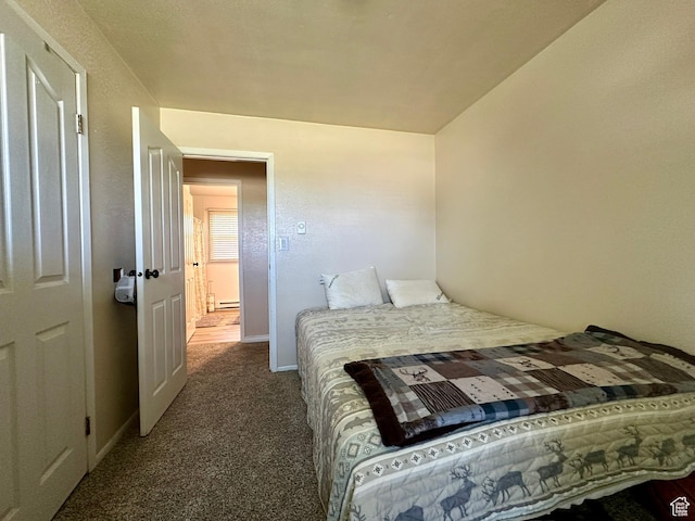 8744 E 6500 S, Jensen, UT 84035 - bedroom featuring carpet flooring and a baseboard radiator