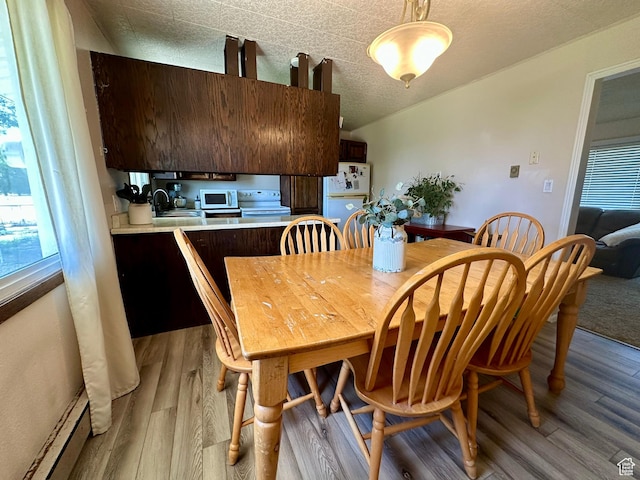 8744 E 6500 S, Jensen, UT 84035 - dining room featuring baseboard heating, light wood-style flooring, and healthy amount of natural light