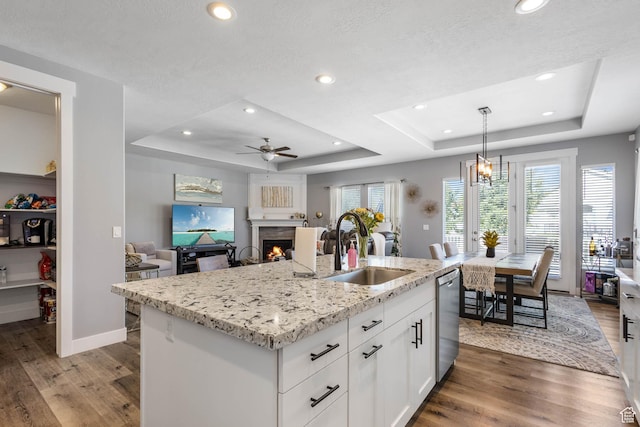 406 Zachary Way, Grantsville, UT 84029 - kitchen featuring a tray ceiling, a ceiling fan, dishwasher, wood finished floors, and recessed lighting