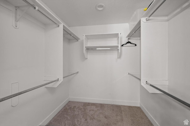 4449 W 5325 S, Hooper, UT 84315 - spacious closet with carpet flooring