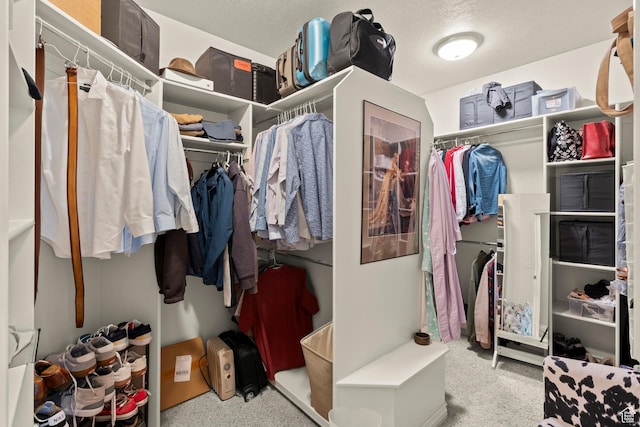 135 W Cove Dr, Elk Ridge, UT 84651 - walk in closet featuring carpet