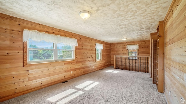 403 E Center, Nephi, UT 84648 - carpeted spare room with wooden walls and a textured ceiling