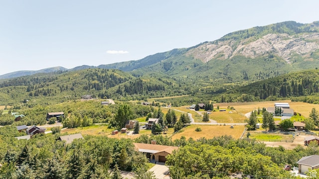2127 E 5950 N, Liberty, UT 84310 - view of mountain backdrop with a forest