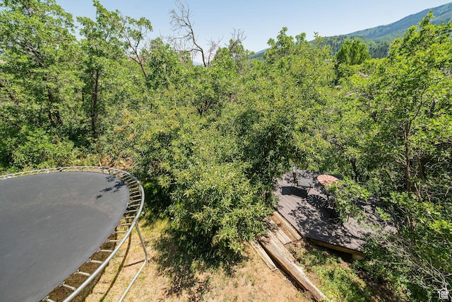 2127 E 5950 N, Liberty, UT 84310 - aerial view of a heavily wooded area