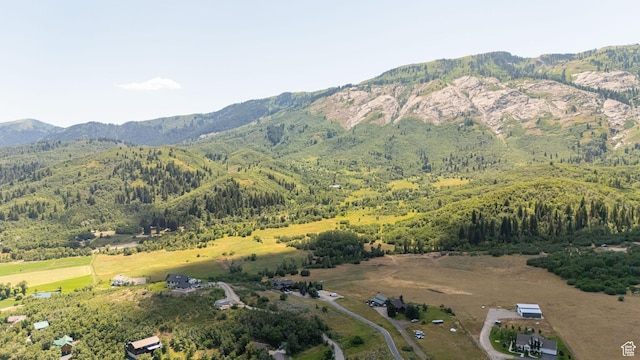 2127 E 5950 N, Liberty, UT 84310 - aerial view of property and surrounding area featuring mountains and a forest