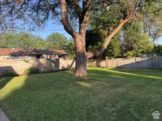 1456 E 5935 S, Murray, UT 84121 - view of yard