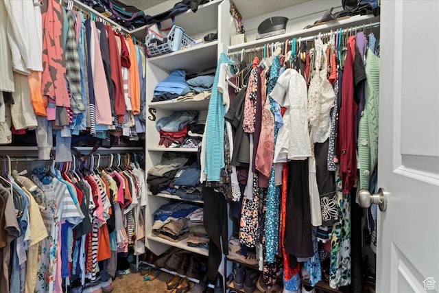 6533 W Elena St S, West Valley City, UT 84128 - view of walk in closet