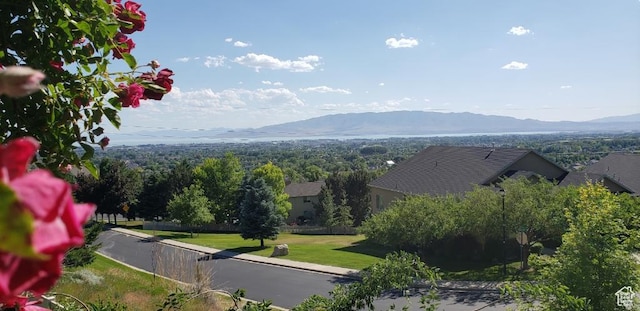 9061 N Canyon Dr, Cedar Hills, UT 84062 - view of mountain background