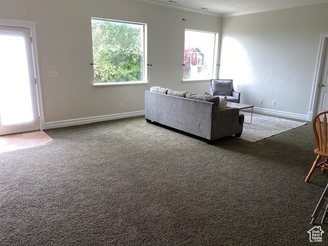 9061 N Canyon Dr, Cedar Hills, UT 84062 - carpeted living area featuring ornamental molding and baseboards