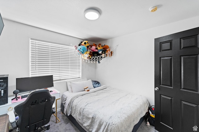 25 E 1860 N, Tooele, UT 84074 - bedroom with carpet floors and an office area