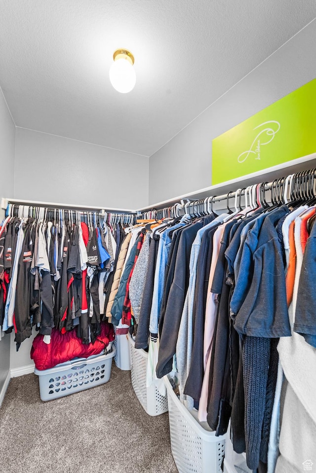 25 E 1860 N, Tooele, UT 84074 - spacious closet featuring carpet floors
