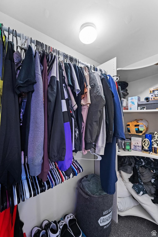 25 E 1860 N, Tooele, UT 84074 - walk in closet with carpet flooring