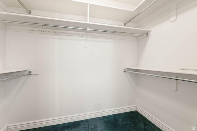 2474 N Dorchester Ave, Harrisville, UT 84414 - view of walk in closet