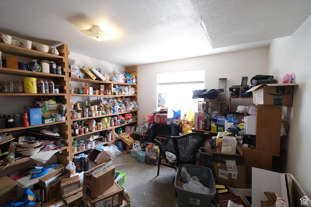 4217 W Twilight Dr S, Salt Lake City, UT 84118 - view of storage