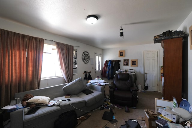 4217 W Twilight Dr S, Salt Lake City, UT 84118 - living room featuring carpet floors