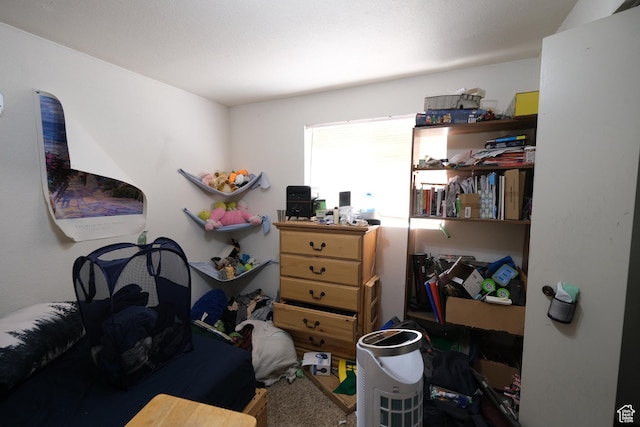 4217 W Twilight Dr S, Salt Lake City, UT 84118 - view of bedroom