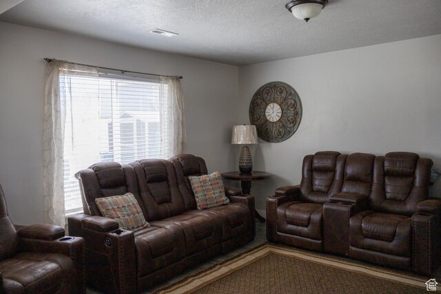 122 N 1325 W, Springville, UT 84663 - living room featuring a textured ceiling