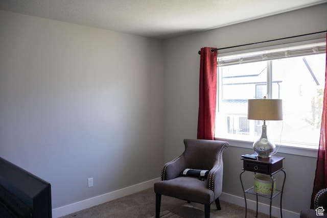 122 N 1325 W, Springville, UT 84663 - sitting room featuring carpet and baseboards