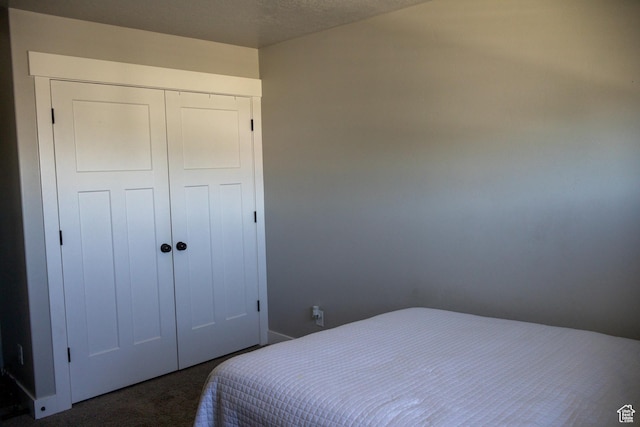 122 N 1325 W, Springville, UT 84663 - bedroom featuring dark colored carpet and a closet