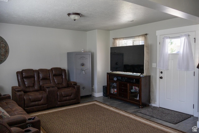 122 N 1325 W, Springville, UT 84663 - living area with wood finished floors and a textured ceiling