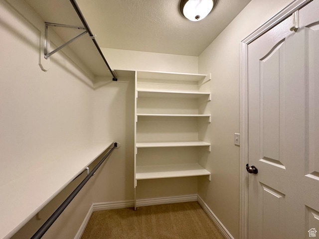 94 Hillsborough Dr, Pleasant View, UT 84414 - spacious closet with carpet flooring