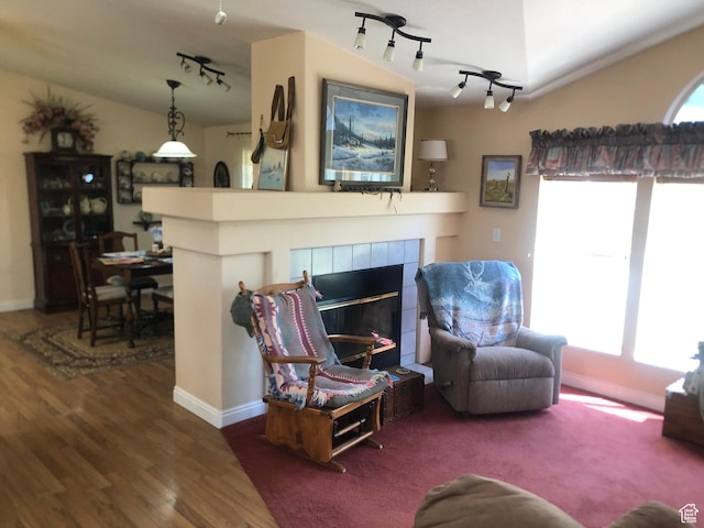 15700 N 7100 E, Spring City, UT 84662 - living area featuring track lighting, wood finished floors, and a tiled fireplace