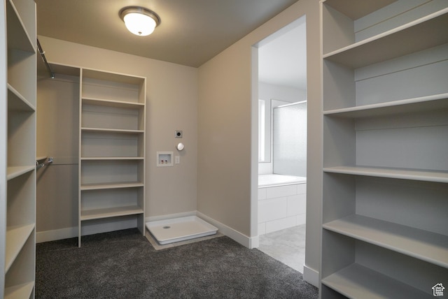 3045 S 2275 W, West Haven, UT 84401 - walk in closet with dark colored carpet
