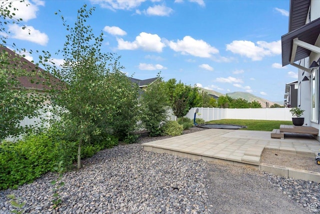723 W 800 S, Springville, UT 84663 - view of yard featuring a patio and a mountain view