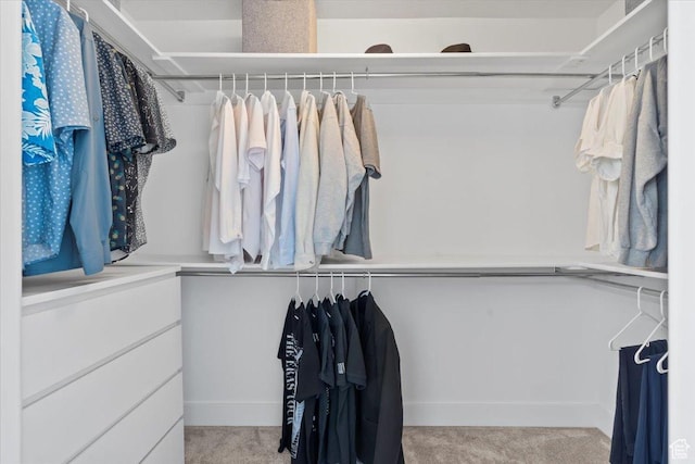 723 W 800 S, Springville, UT 84663 - walk in closet with carpet flooring