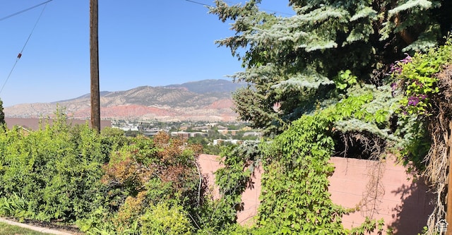 411 S Ridge Rd, Cedar City, UT 84720 - view of mountain backdrop