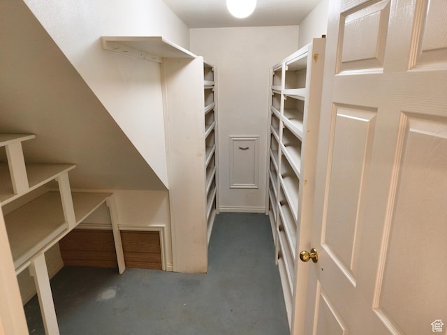 411 S Ridge Rd, Cedar City, UT 84720 - walk in closet with carpet flooring