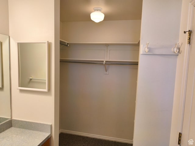 411 S Ridge Rd, Cedar City, UT 84720 - walk in closet featuring carpet flooring