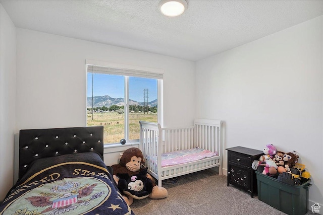 3270 N 3325 W Unit 386B, Plain City, UT 84404 - carpeted bedroom featuring a mountain view and a textured ceiling