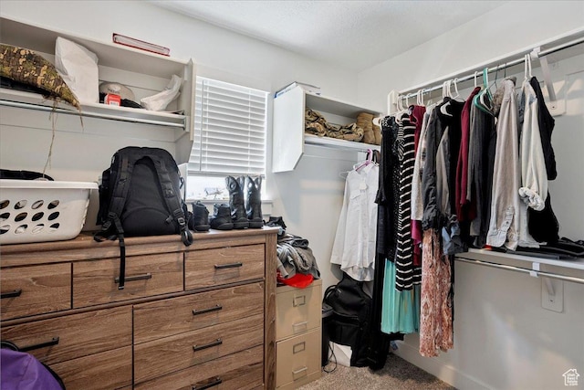 3270 N 3325 W Unit 386B, Plain City, UT 84404 - walk in closet with carpet