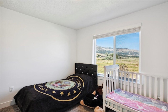 3270 N 3325 W Unit 386B, Plain City, UT 84404 - bedroom featuring carpet and a textured ceiling