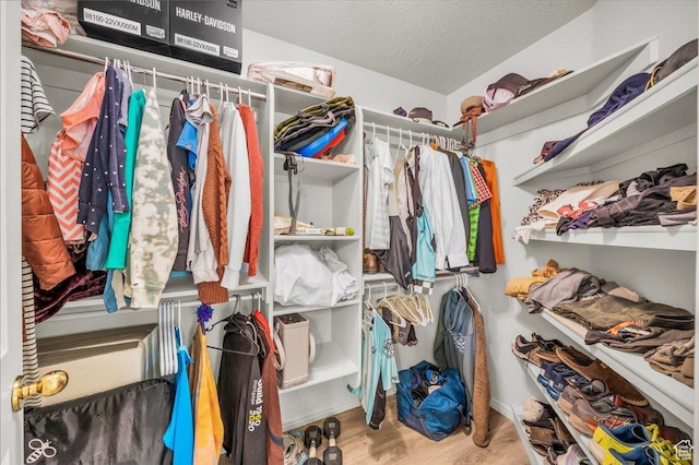 2045 S 1400 E Unit 8, St George, UT 84790 - spacious closet with wood finished floors