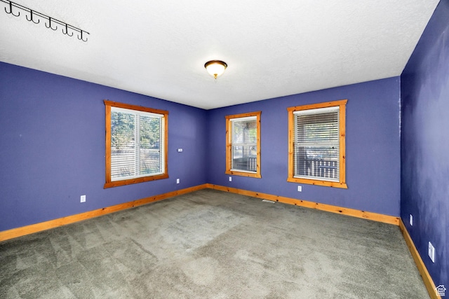 9115 W 25800 N, Portage, UT 84331 - spare room with carpet, plenty of natural light, a textured ceiling, and rail lighting