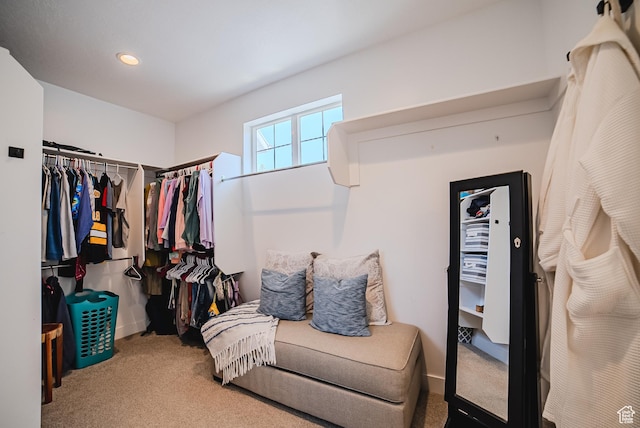 3698 E Butterfield Rd, Eagle Mountain, UT 84005 - spacious closet with carpet flooring