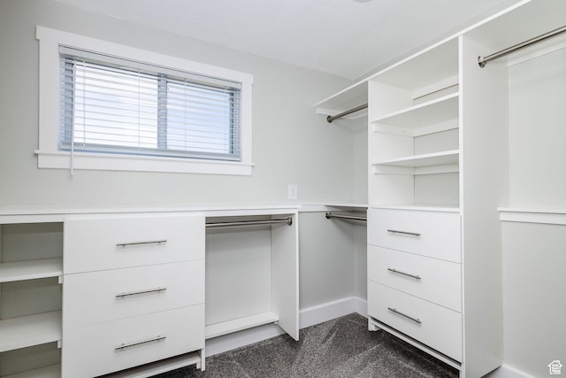 3320 N Plain City Rd W, Plain City, UT 84404 - walk in closet featuring dark colored carpet