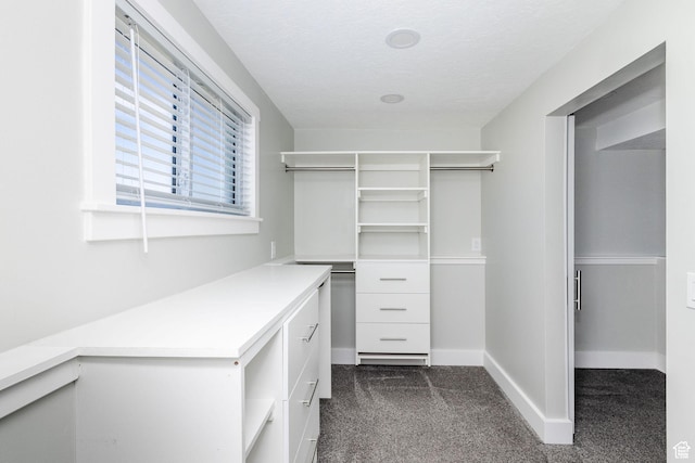 3320 N Plain City Rd W, Plain City, UT 84404 - spacious closet featuring dark colored carpet