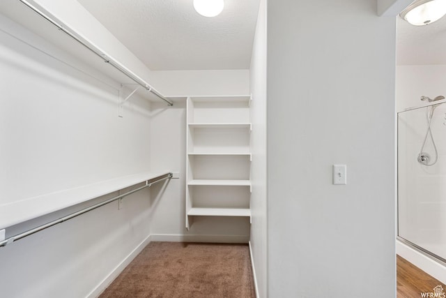 5958 W 8100 S, West Jordan, UT 84081 - walk in closet with carpet floors