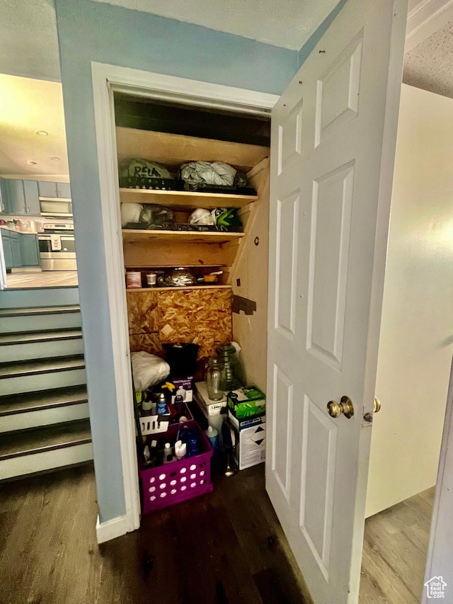 3917 S David Pl, West Valley City, UT 84119 - view of storage area