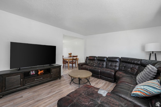 4245 S 3760 W, West Valley City, UT 84120 - living room with light wood-type flooring